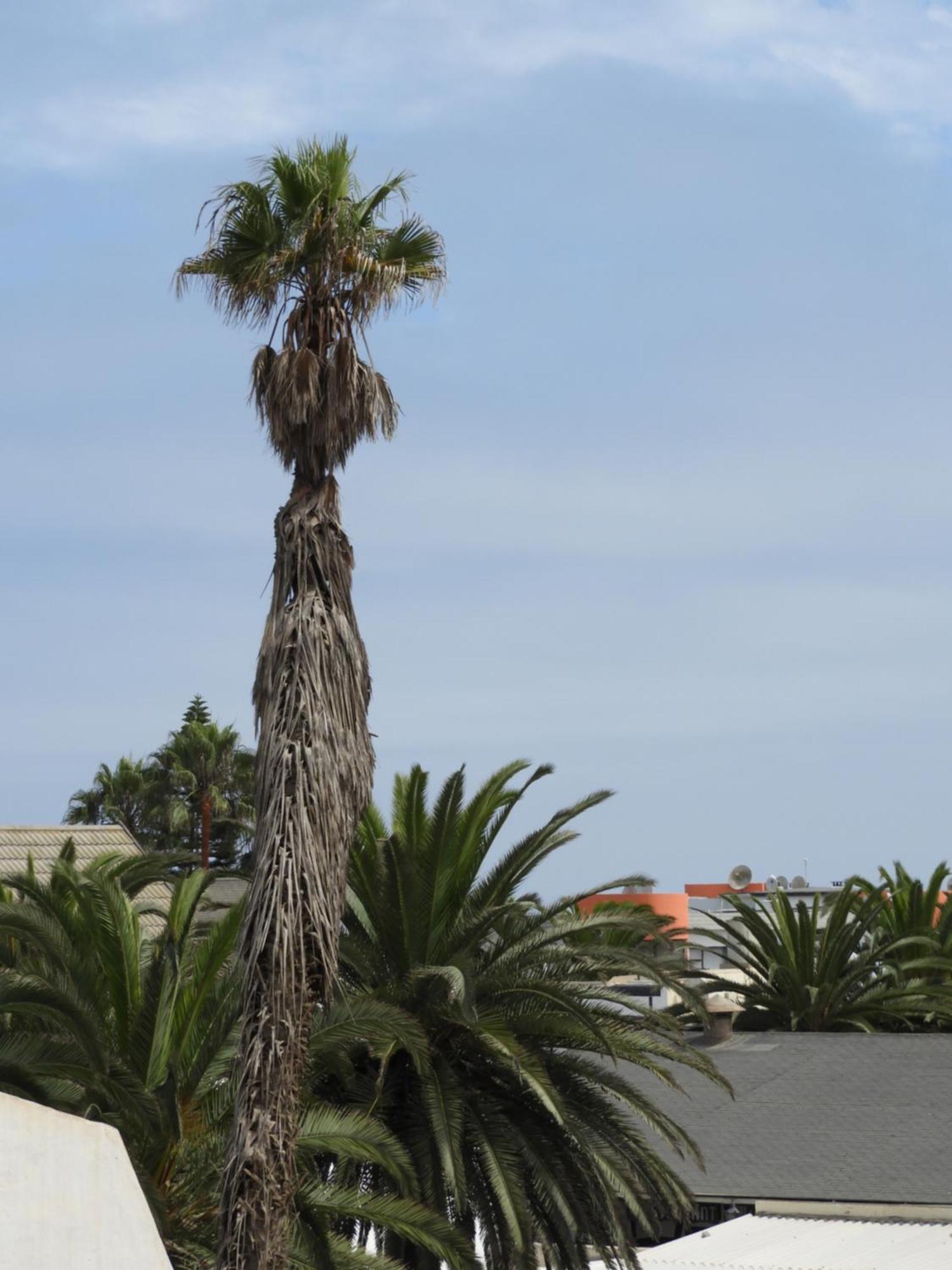 Central Self Catering Swakopmund Extérieur photo